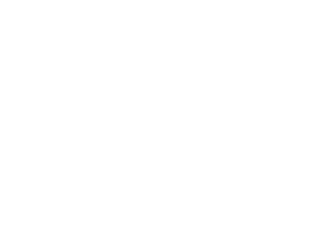 pedra-selada-logo